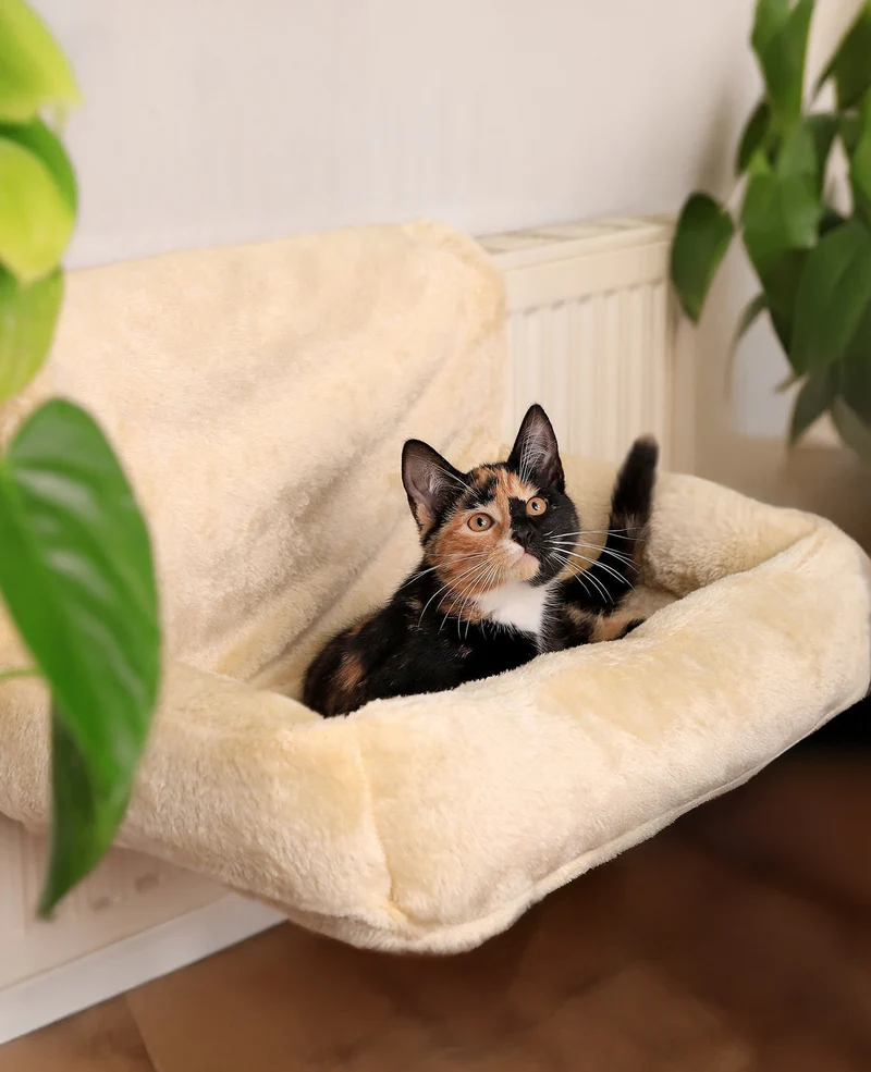 Katzenheizungsliege aus Plüsch