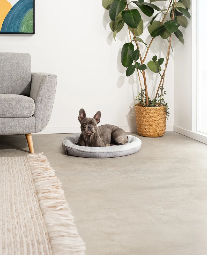 Rundes Hundebett in Donutform