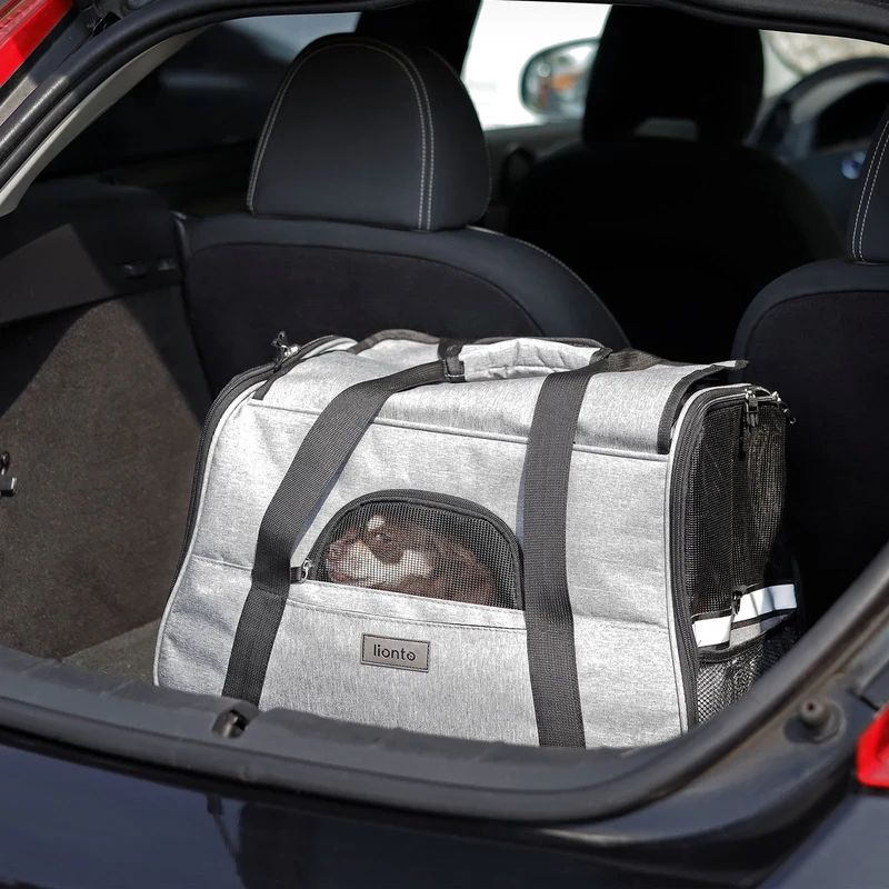 Faltbare Hundetransporttasche