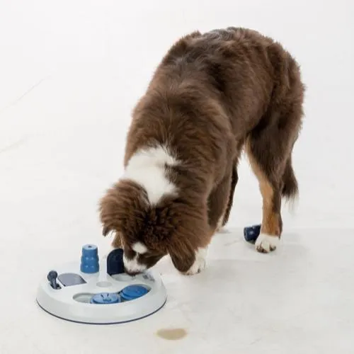 Trixie Dog Activity Flipboard, ø23×3 cm