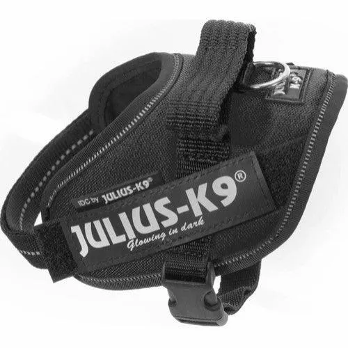 Julius Geschirr – „K9 IDC“ – Schwarz