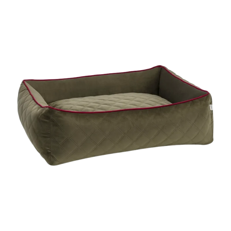 Ortho Bett Oxford