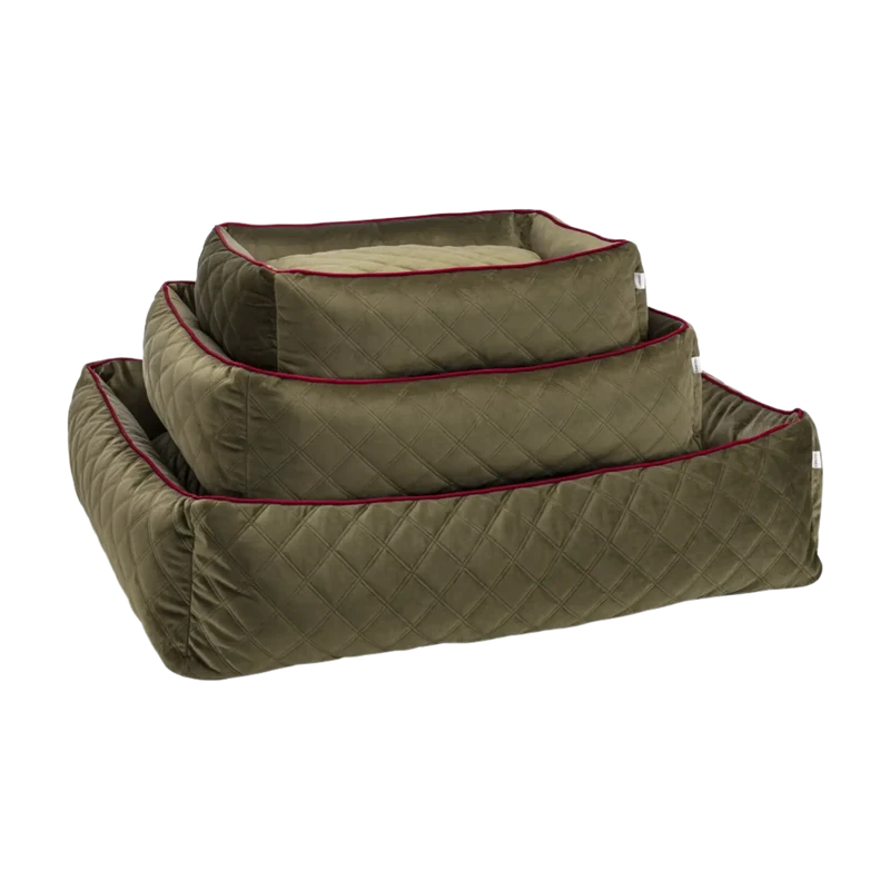 Ortho Bett Oxford