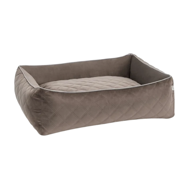 Ortho Bett Oxford