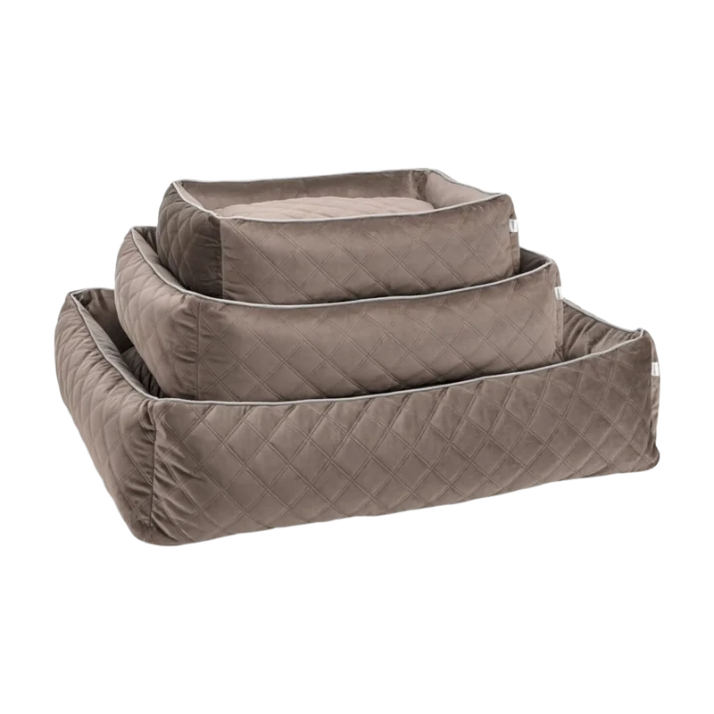 Ortho Bett Oxford