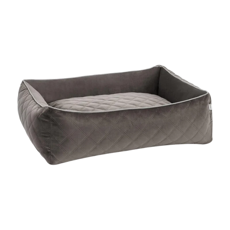 Ortho Bett Oxford