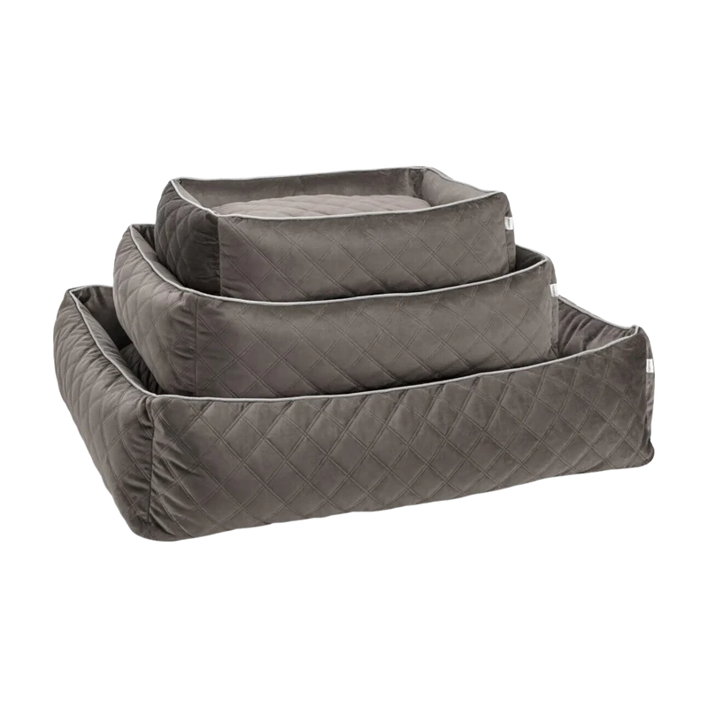 Ortho Bett Oxford