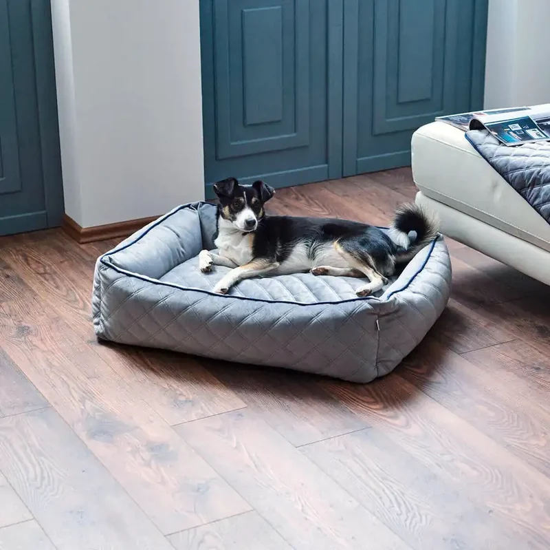 Ortho Bett Oxford