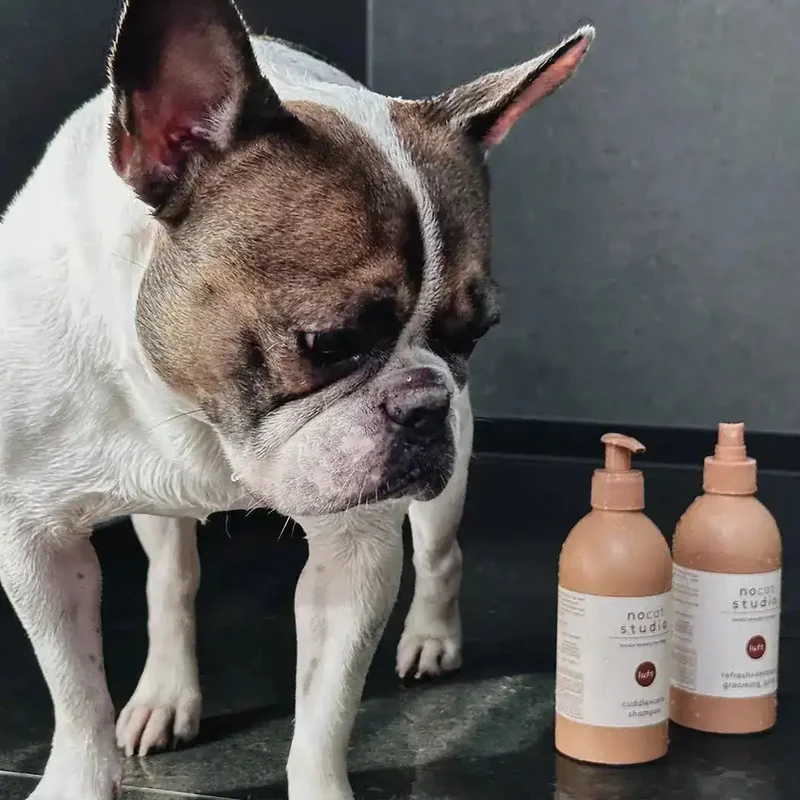 Luft Pflegespray 375 ml