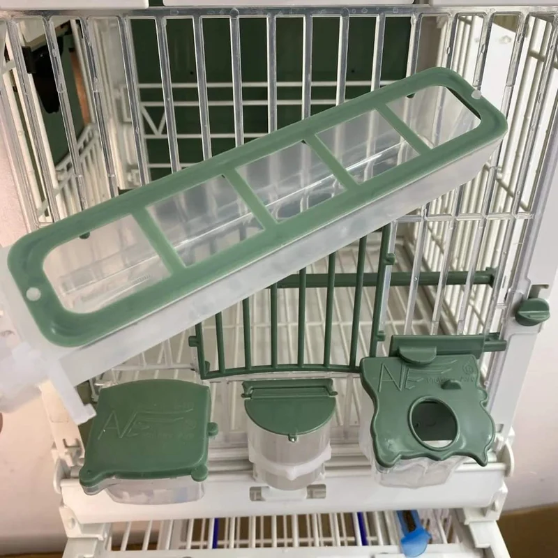 Apollo Feeder (grün) – Moldes Ave