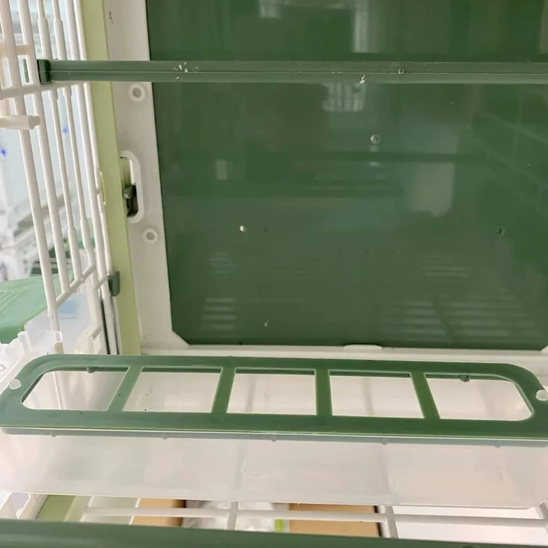 Apollo Feeder (grün) – Moldes Ave