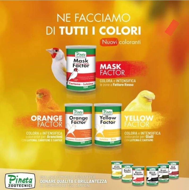 Maskenfaktor 250 Gramm – Pineta