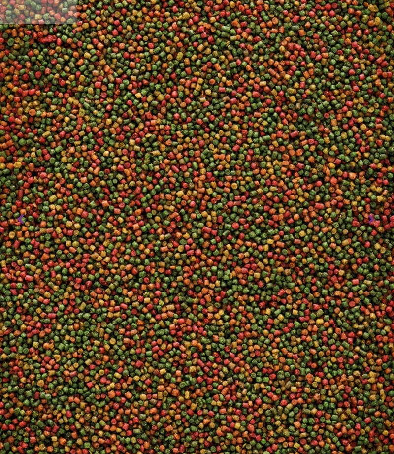 Nutribird C15 Kanarienfutter 10kg (Ersatz für PERLE MORBIDE) - Vogelfutter