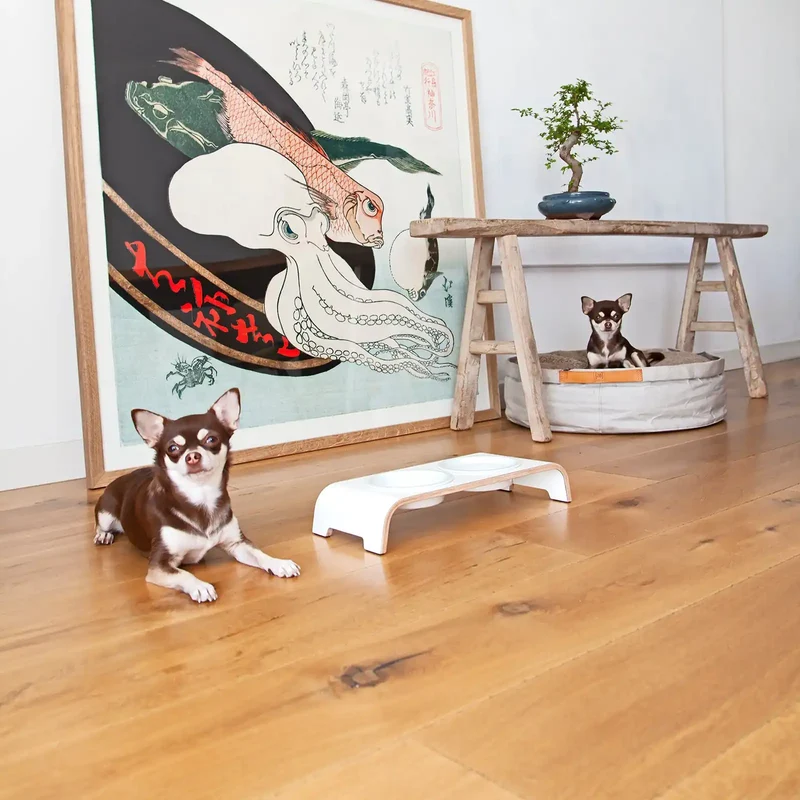 dogBar® Doppelnapf S Classic