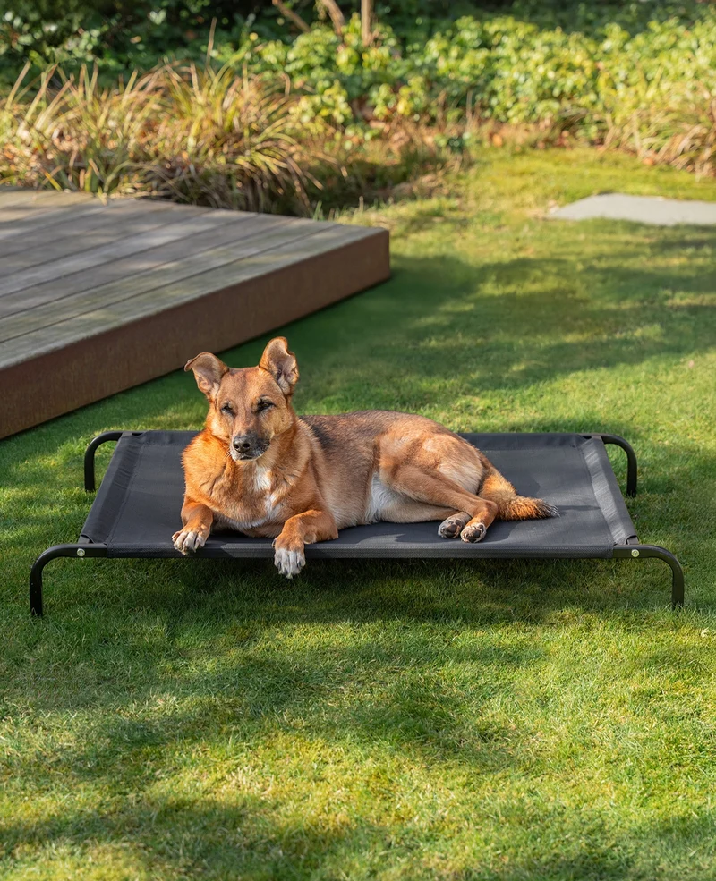 Erhöhte Hundeliege für Haus und Garten