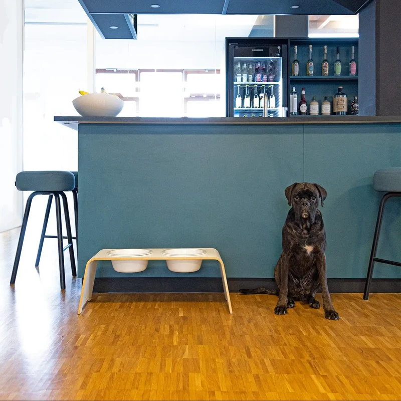 dogBar® Doppelnapf L Classic