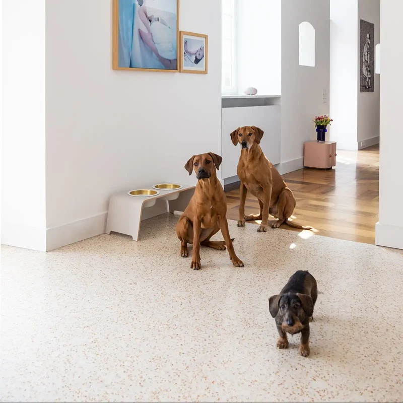 dogBar® Doppelnapf L Classic