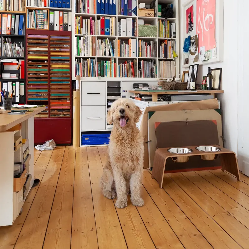 dogBar® Doppelnapf L Classic