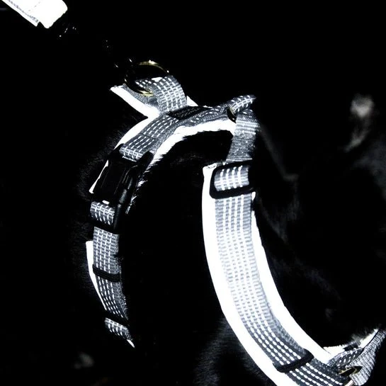 Kentucky Hundegeschirr - Mit Reflektor - "Reflective"