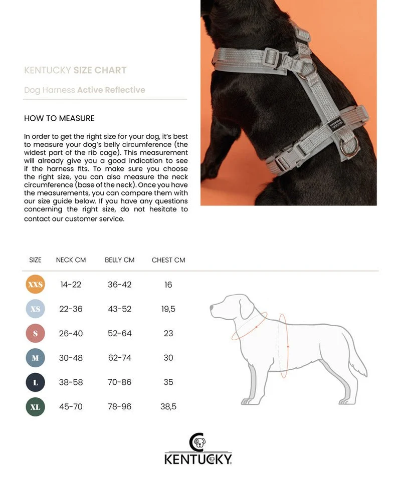 Kentucky Hundegeschirr - Mit Reflektor - "Reflective"