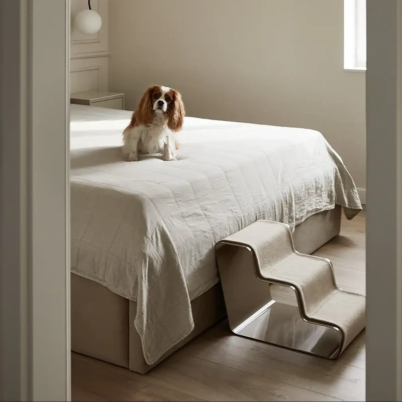 dogBeam® Hundetreppe 3 Stufen