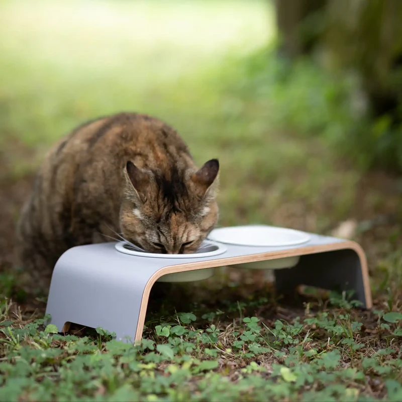 catBar® Doppelnapf