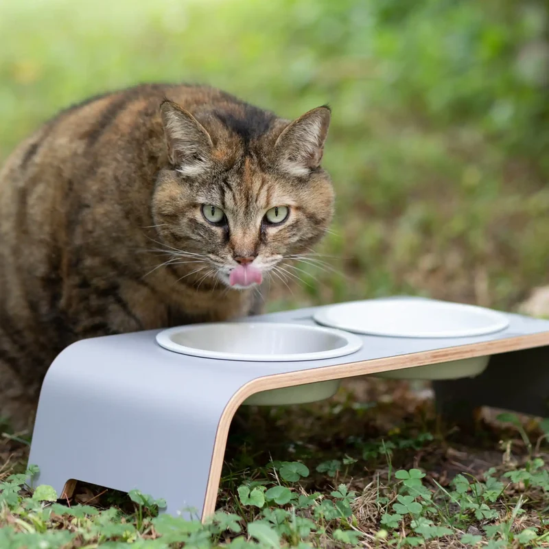catBar® Doppelnapf