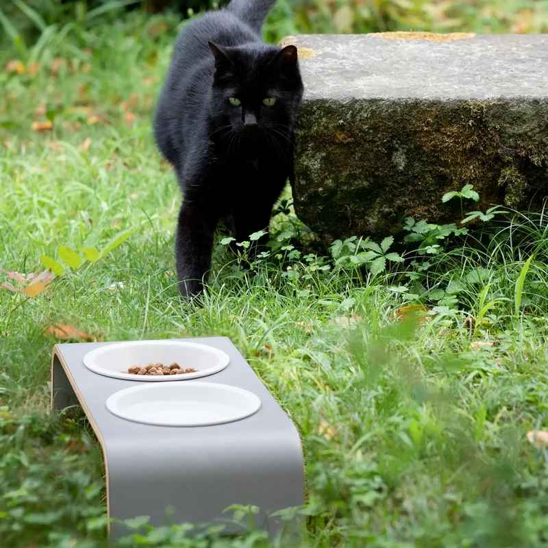 catBar® Doppelnapf