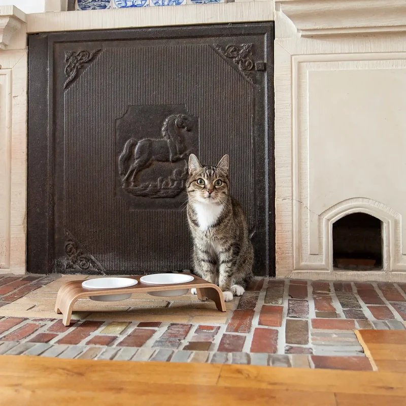 catBar® Doppelnapf