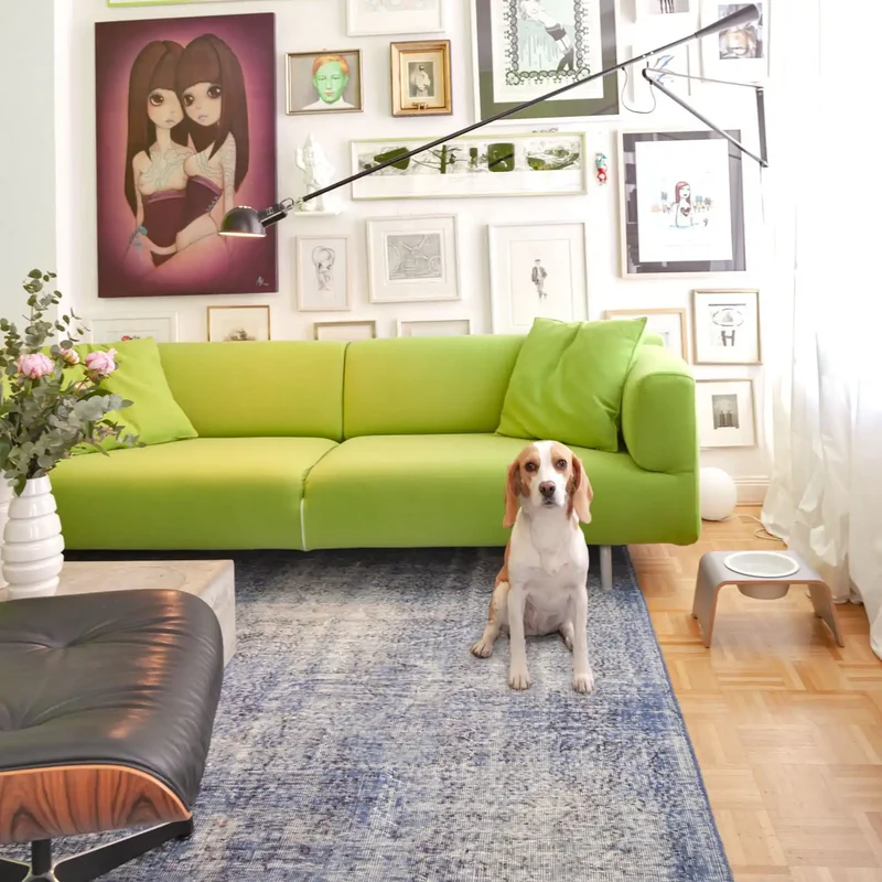 dogBar® Einzelnapf M