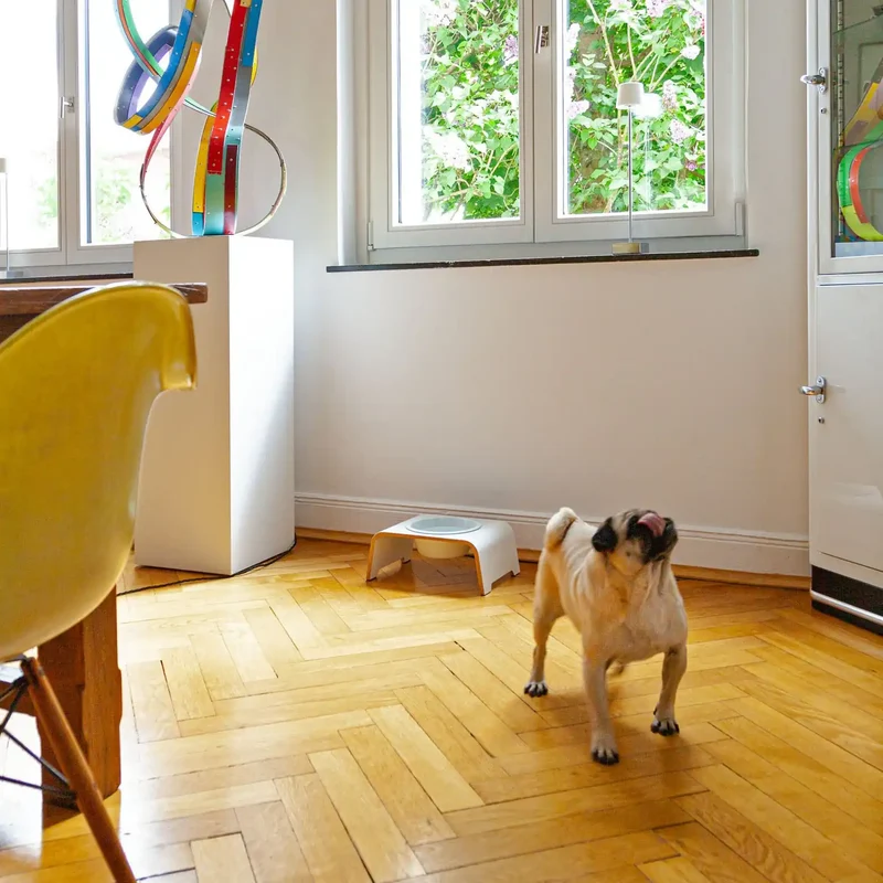 dogBar® Einzelnapf M-Small
