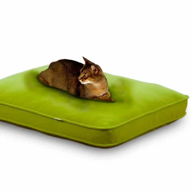 Lounge Uni Katzenkissen Rechteckig