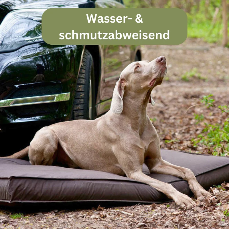 Orthopädisches Hundekissen - Sealand