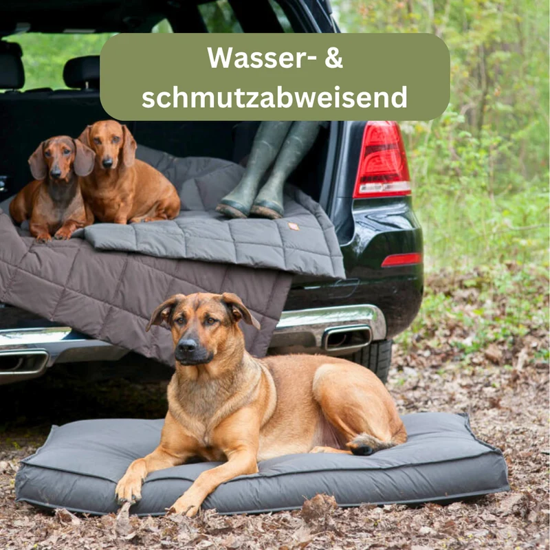 Orthopädisches Hundekissen - Sealand