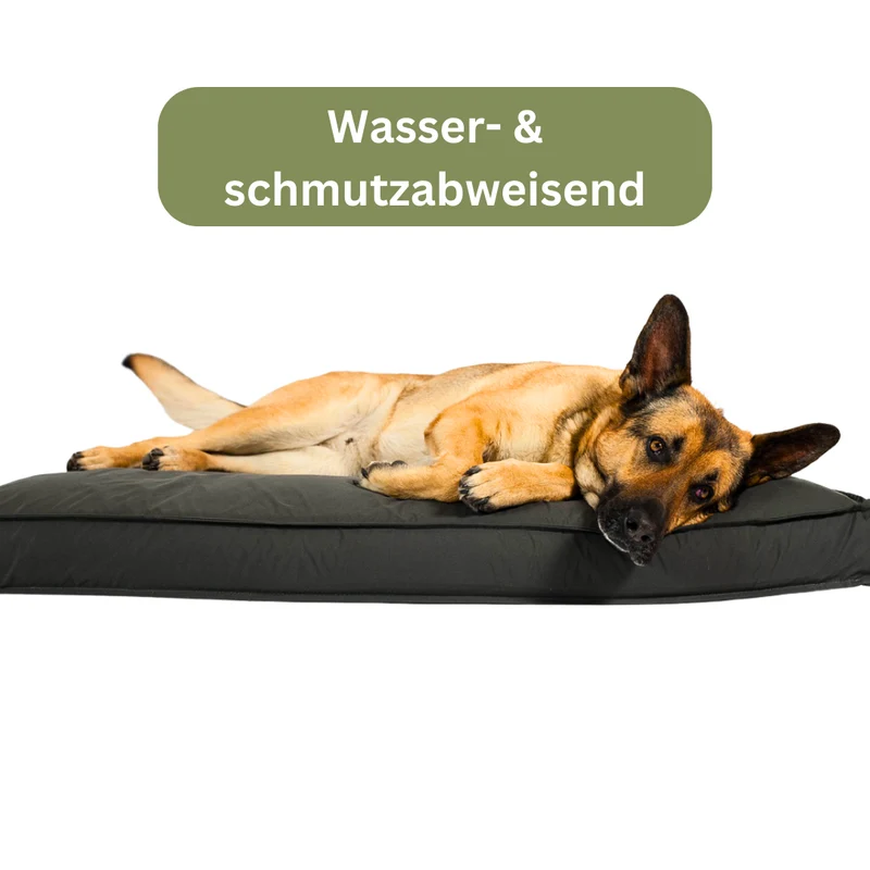 Orthopädisches Hundekissen - Sealand