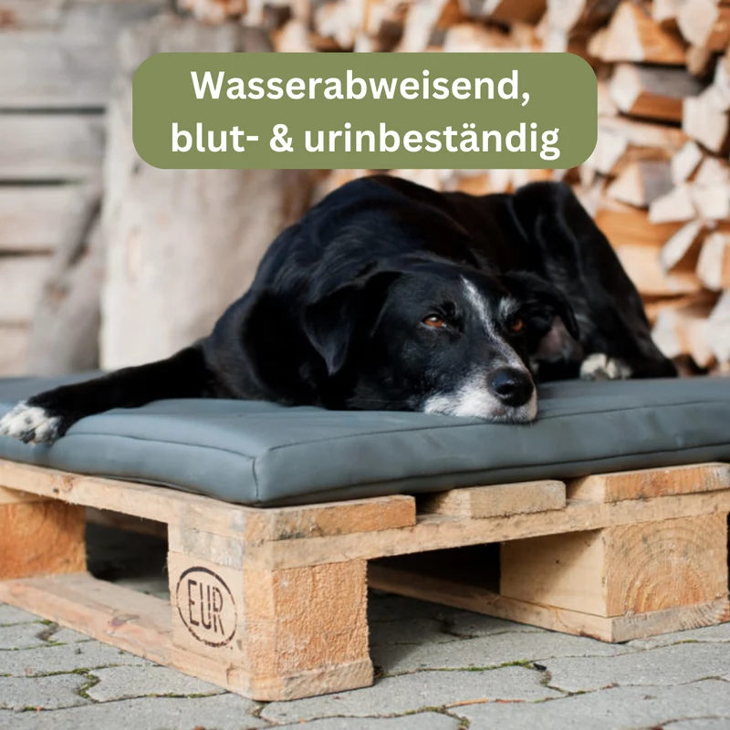 Orthopädische Hundematte - Jagdlich Leder