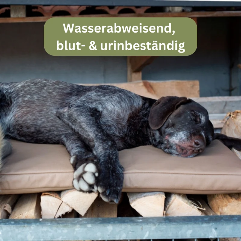 Orthopädische Hundematte - Jagdlich Leder