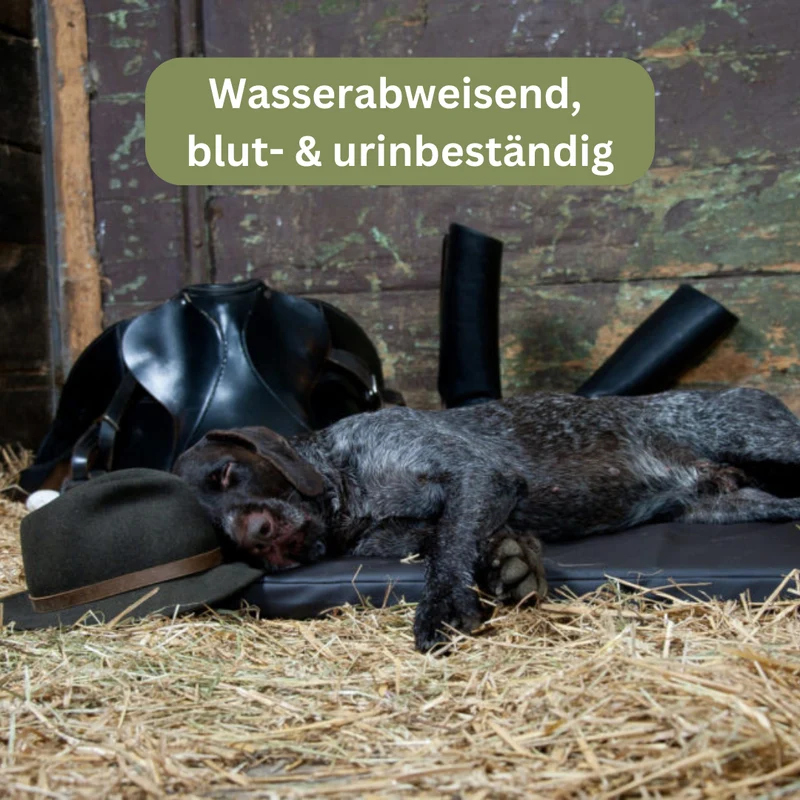 Orthopädische Hundematte - Jagdlich Leder