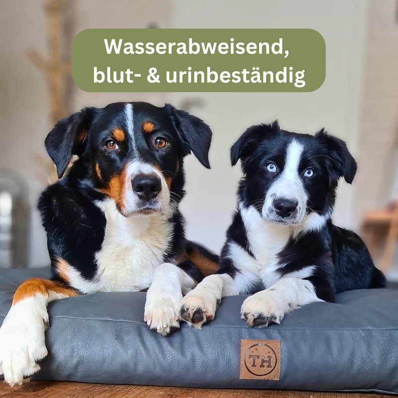 Orthopädisches Hundekissen - Jagdlich Leder