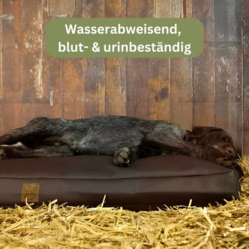 Orthopädisches Hundekissen - Jagdlich Leder