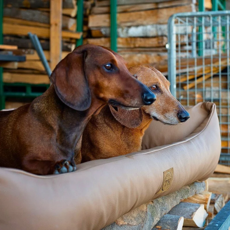 Bezug - Jagdlich Leder für Hundebetten von Traumhund®