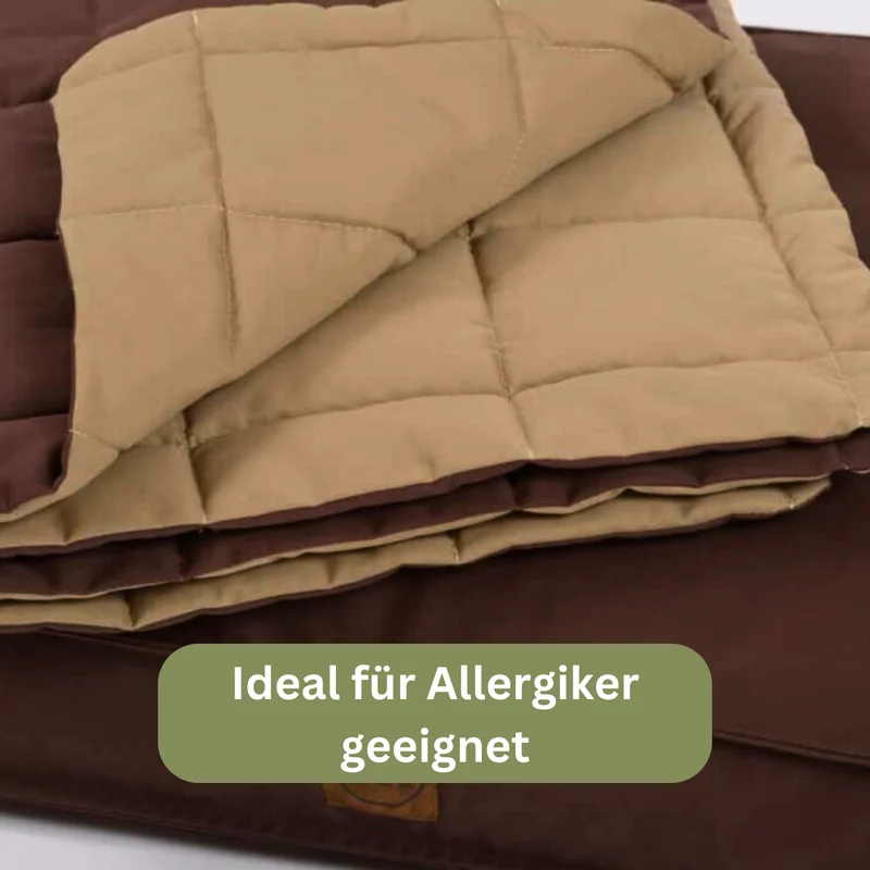 Bezug - Organic 95 für Hundekissen von Traumhund®
