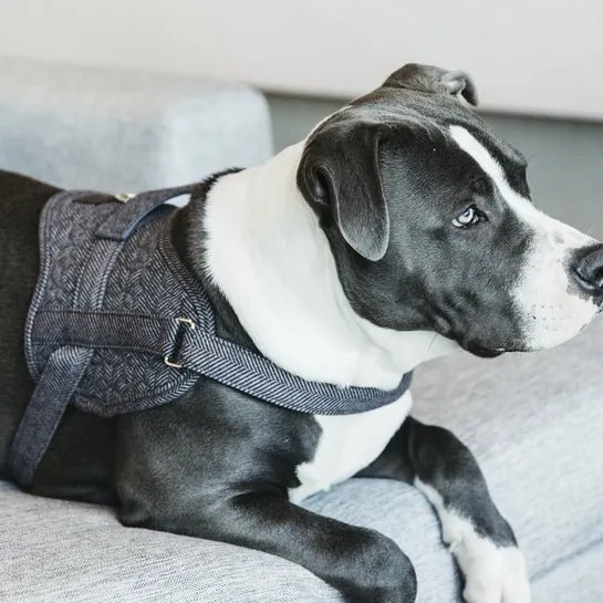 Kentucky Dog - Geschirr - Geschirr Body Safe Wool - Grau