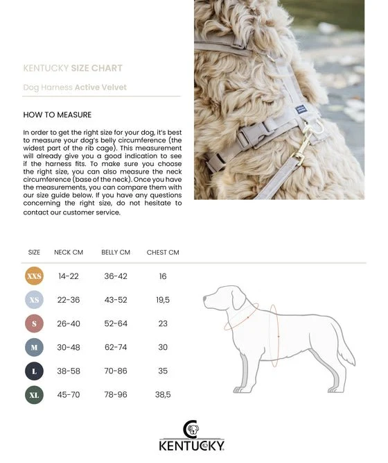 Kentucky Hundegeschirr Active Velvet - Schwarz