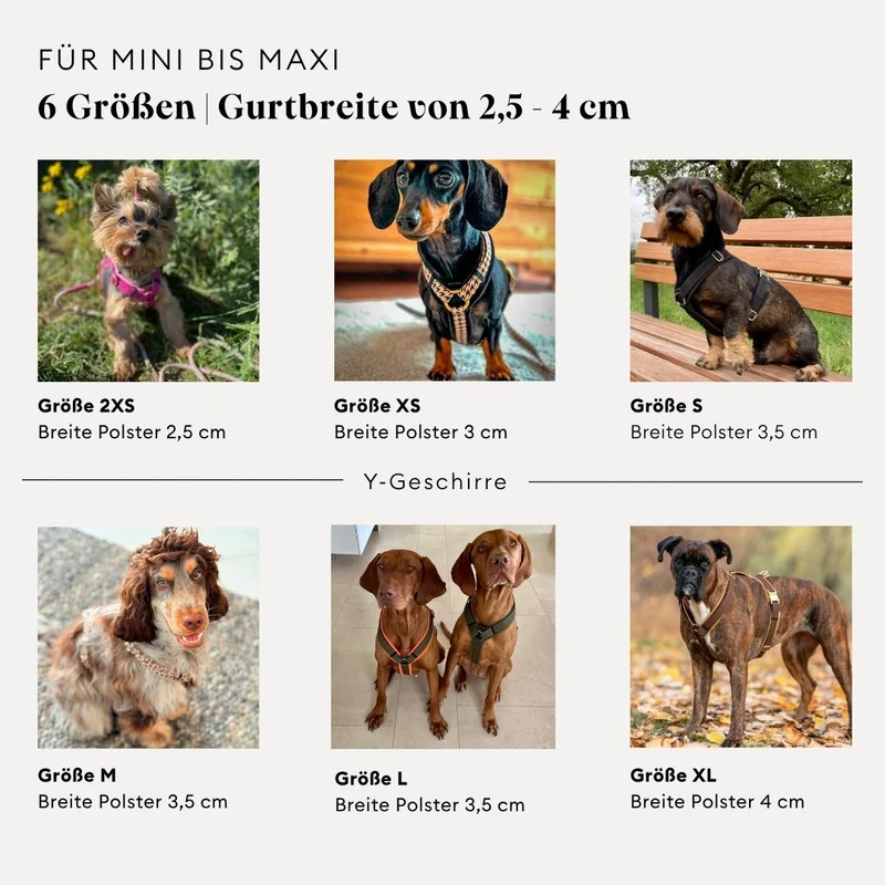 Hundegeschirr Softie KARAMELL