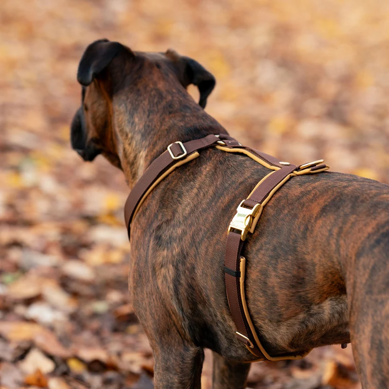 Hundegeschirr Softie KARAMELL