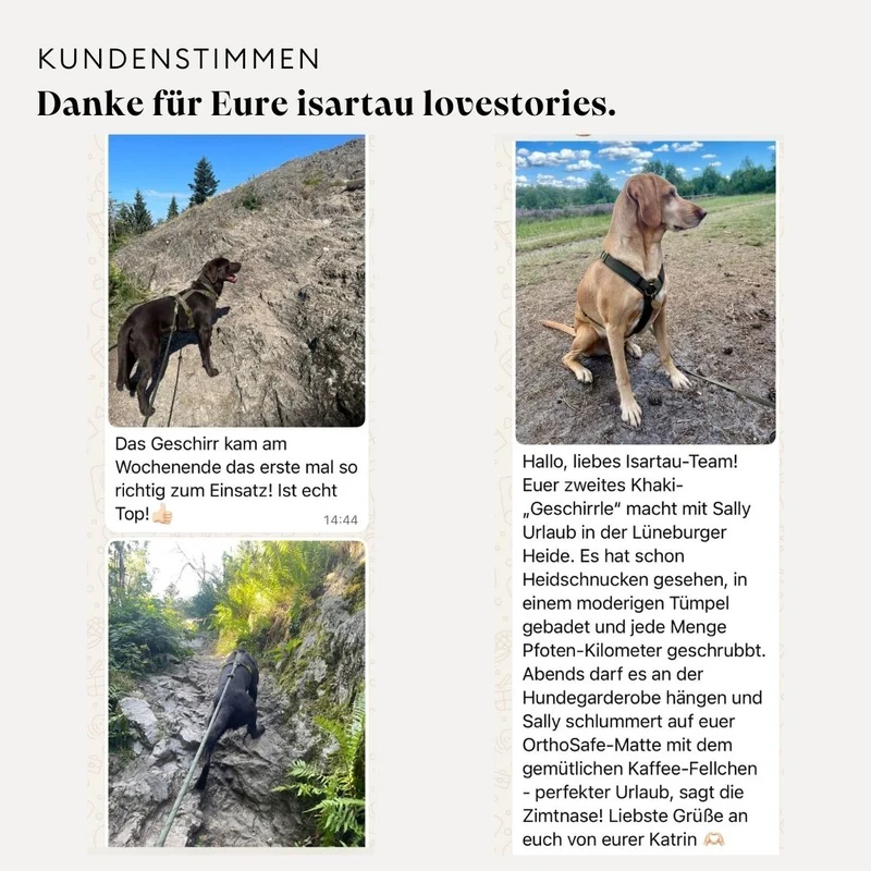 Hundegeschirr Softie KARAMELL