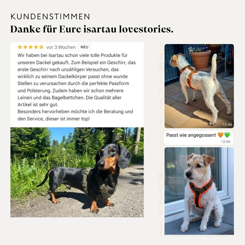 Hundegeschirr Softie KARAMELL