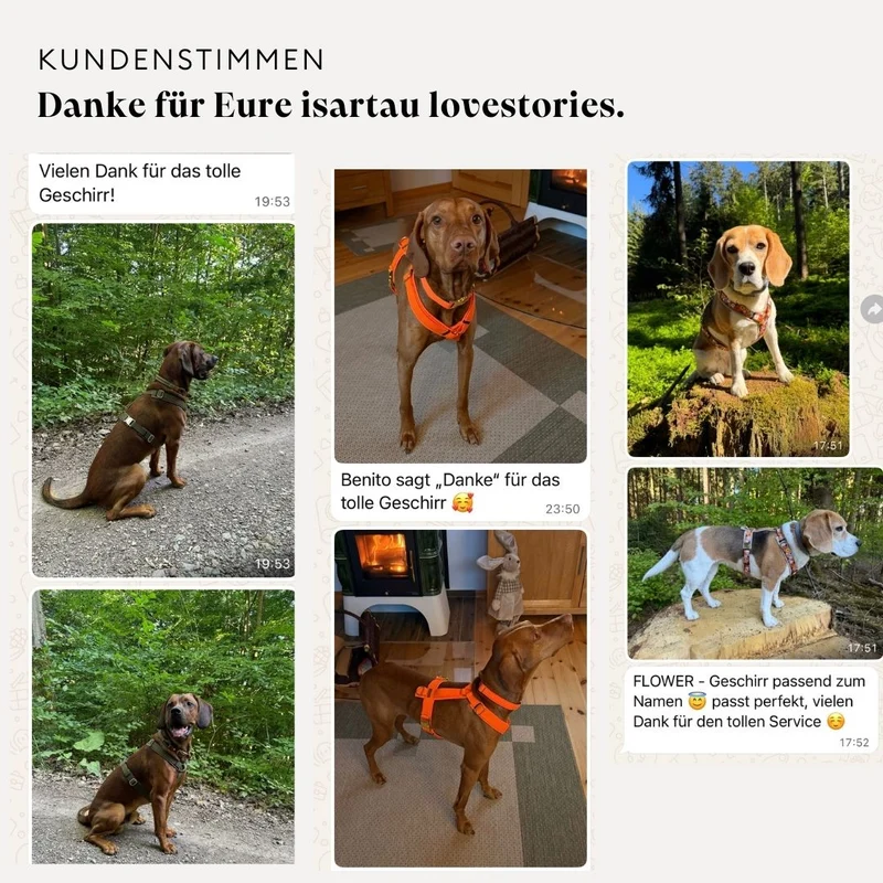 Hundegeschirr Softie KARAMELL