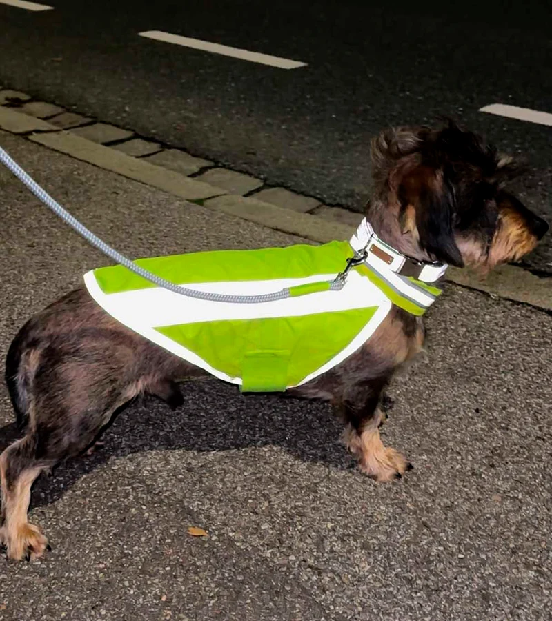 Hundewarnweste Neongelb